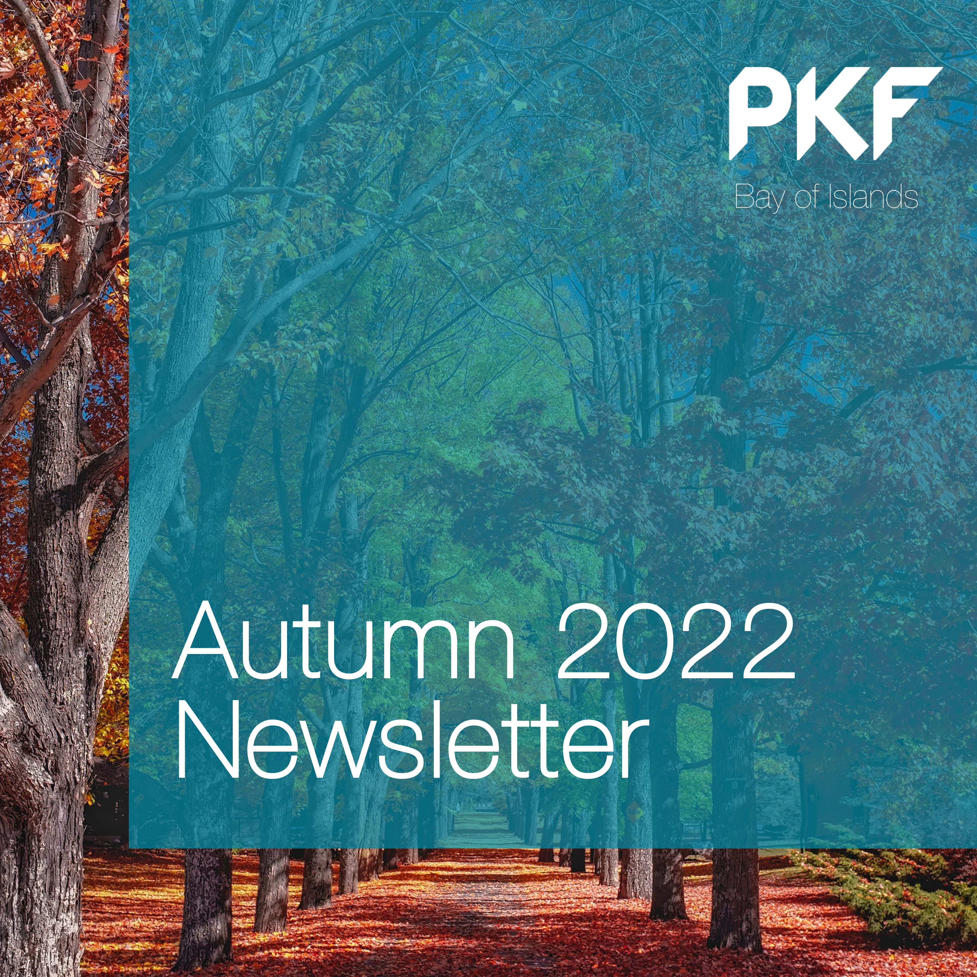 Autumn 2022 Newsletter